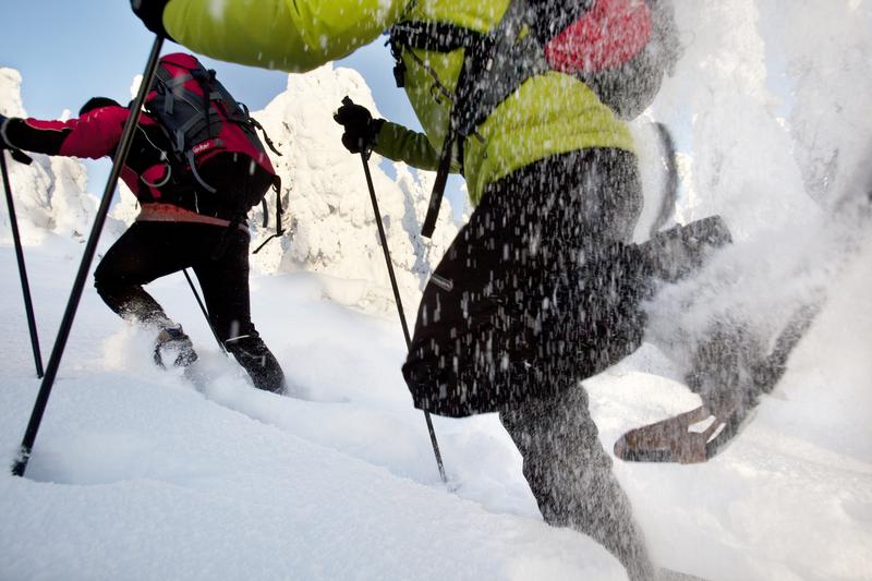 L’hiver en Europe est un moment idéal pour les visiteurs aventuriers, lorsque les hautes montagnes et les chutes de neige abondantes offrent de nombreuses activités