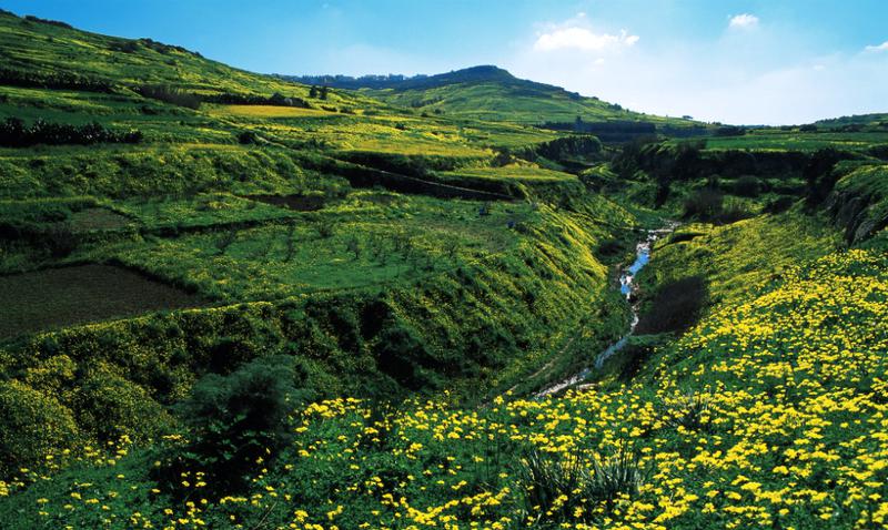 The landscape of Gozo Island, Malta, is full of valleys, streams and lush vegetation.